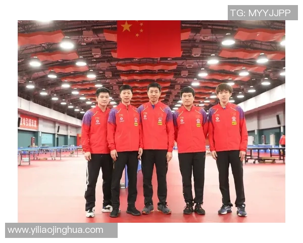 武汉乒乓球队个人能力全面解析与大满贯赛事表现评估